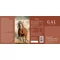 GAL Shoden® Ashwagandha (60 db)