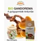Bio őrölt ganoderma (40 g)